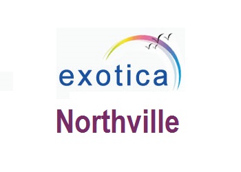 Exotica Northville